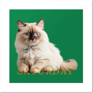 Saturday Cat!. Enjoy it (the saturday and the cat) Posters and Art